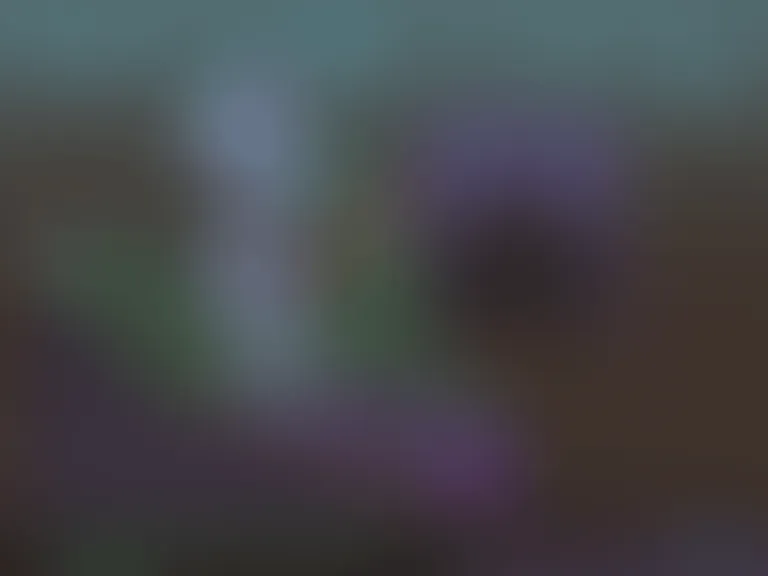 Reggie evolution (Whygena)