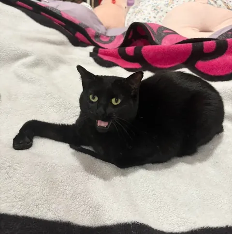 She’s just chilling