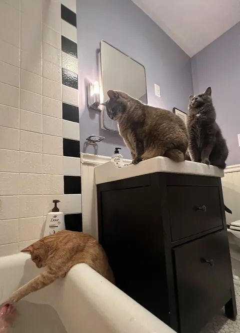 2 Lifeguards and a Bathroom Attendant