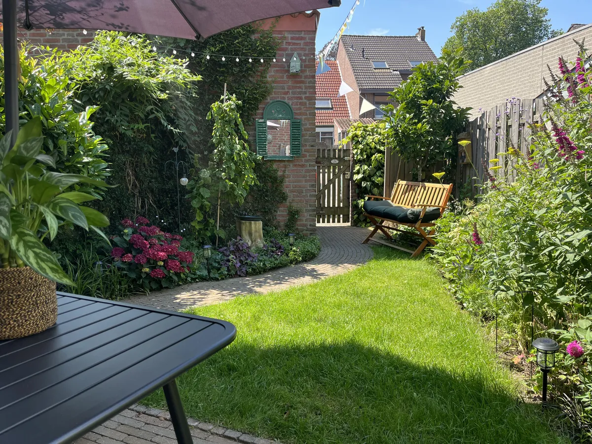 My tiny garden on this hot summer’s day