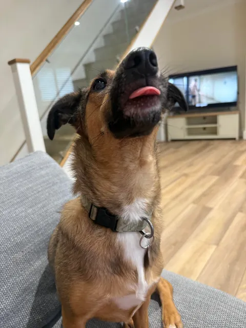 Valid reaction to pizza