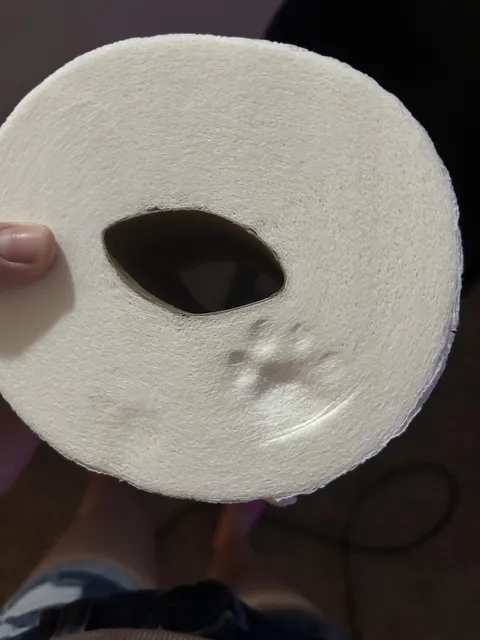 My cat left a perfect paw print in our toilet paper