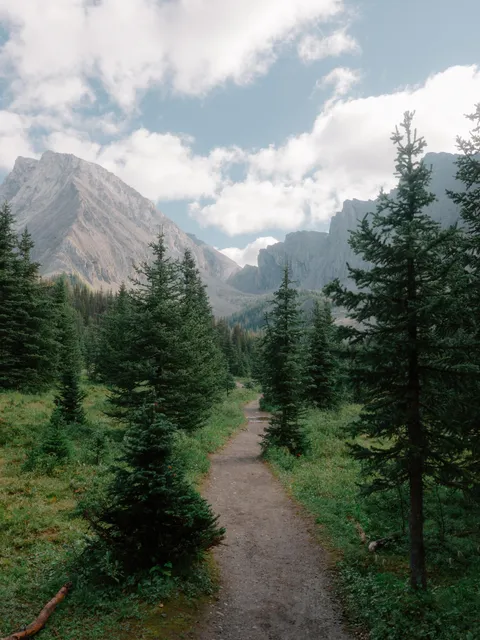 Walk in the Rockies, Alberta, Canada [OC][3715x4953]