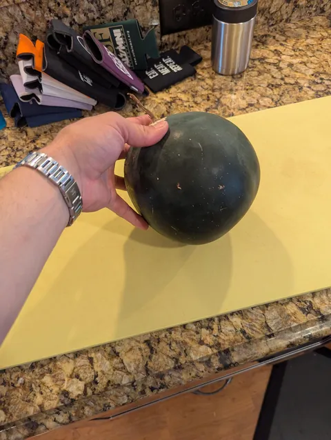 I grew my first watermelon!!!!