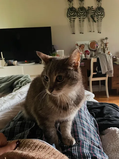 Teva Day 1 / Day 121