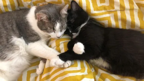 Had to say goodbye to my best friend