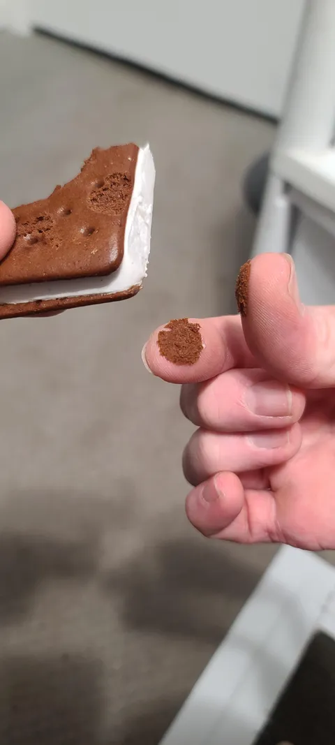 For the 1000th time, I've made the mistake of touching my ice cream sandwich.