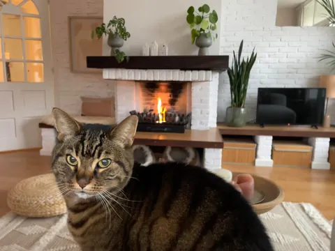 Living room of my apartment in December (The Netherlands)