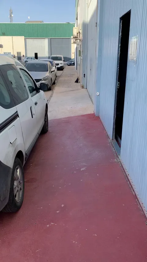 At my workplace We started feeding a stray cat and today she decided to move into our warehouse