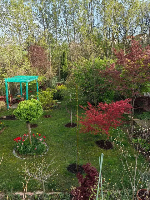 My garden in Serbia 🌿🇷🇸