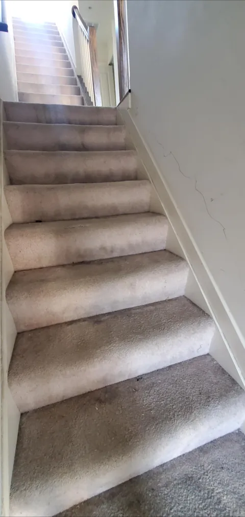 Carpeted pine stairs → sanded and stained wood (first woodworking project from start to finish)