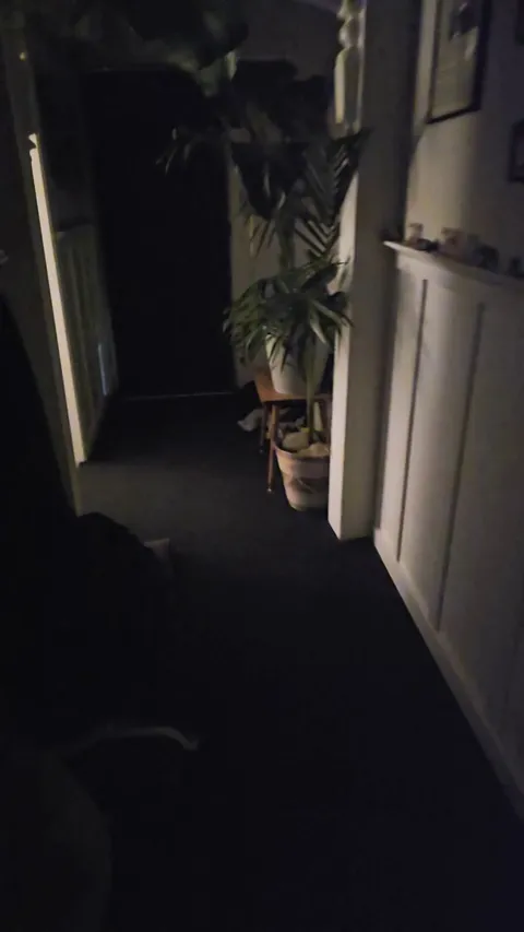 Maybe this is a foster fail..