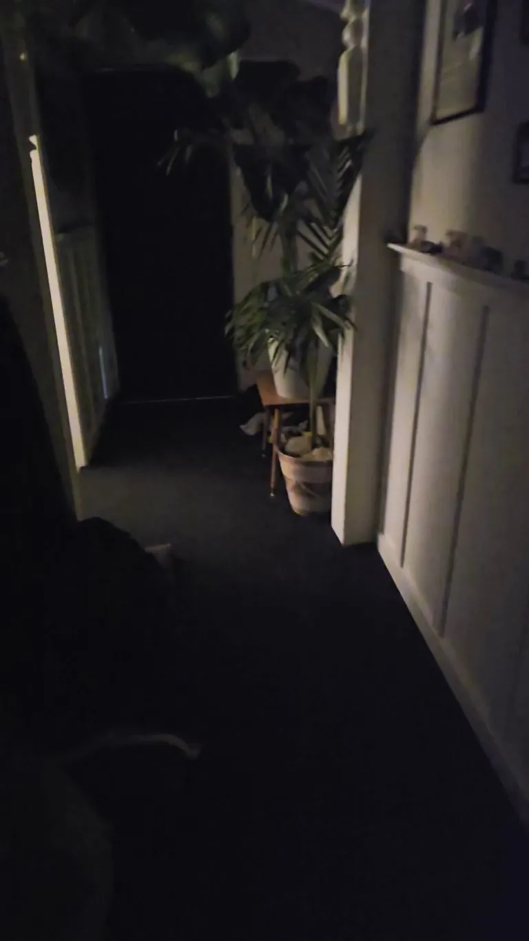 Maybe this is a foster fail..