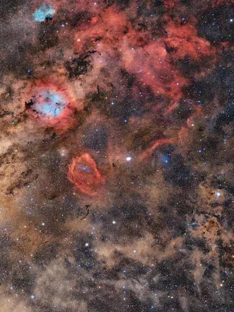 The Cygnus constellation and its dusty surroundings