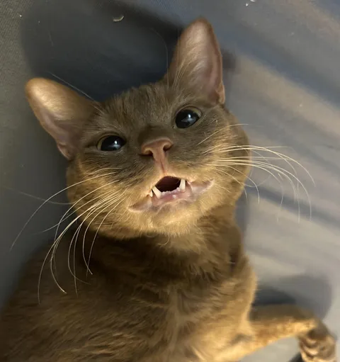 She has been so happy lately