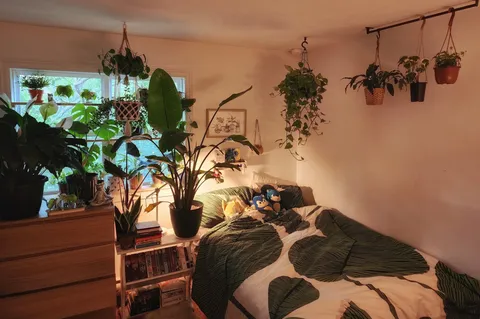 Finally happy with my bedroom, thought it looked pretty cozy today! 🪴