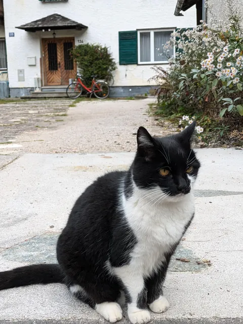 Hallstatt, Austria in Autumn 2024.