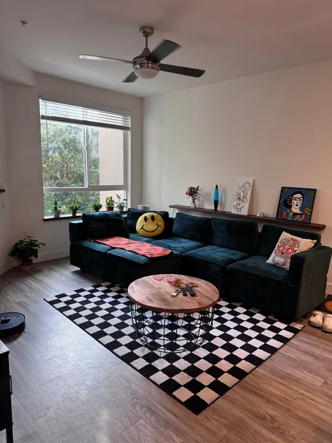 Moved out for the first time, vibes accumulating