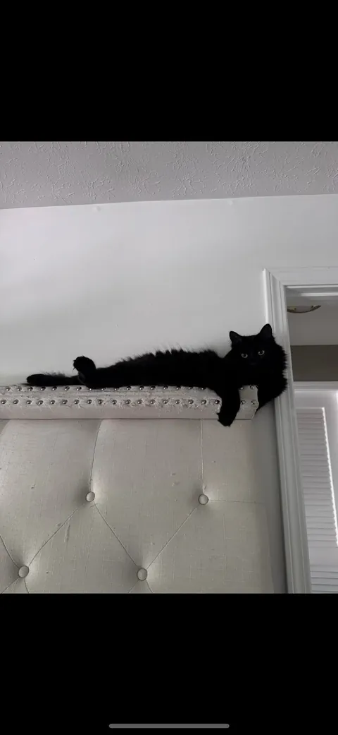 I’m abroad for ten days and I miss himmmmm