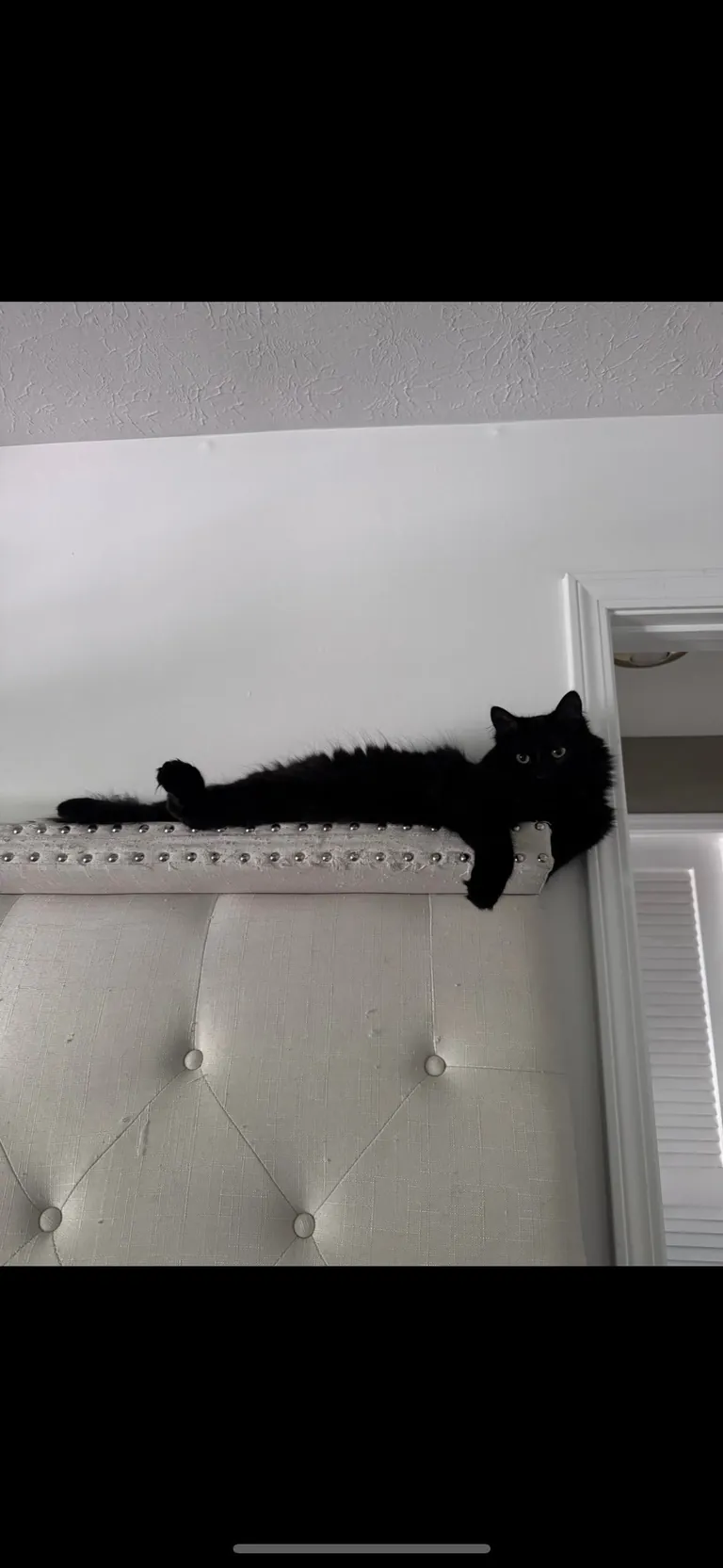 I’m abroad for ten days and I miss himmmmm