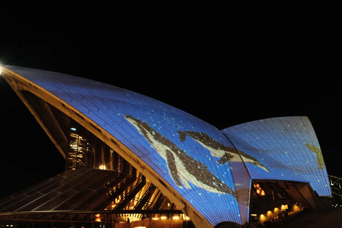 Our first week in Sydney