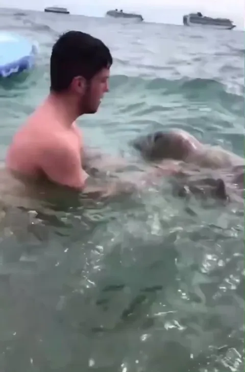 Man greeted by a Seal in water