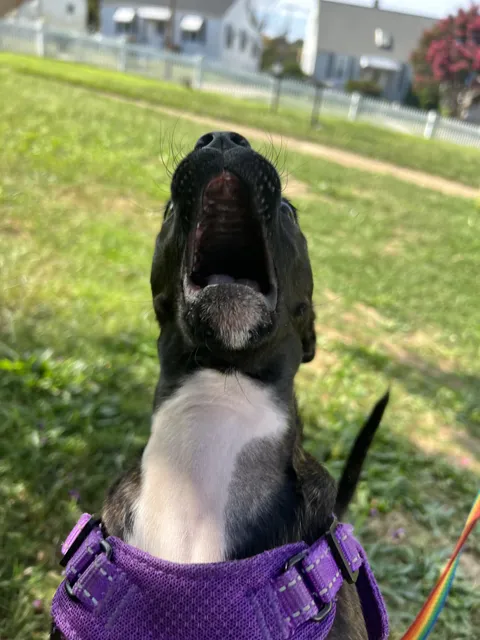 She’s been watching a lot of Donald Sutherland movies… 