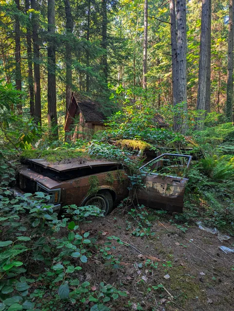 Abandoned car in the woods of Washington