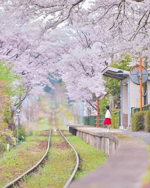 This photo of a girl waiting for a train is very Studio Ghibli-esque:D