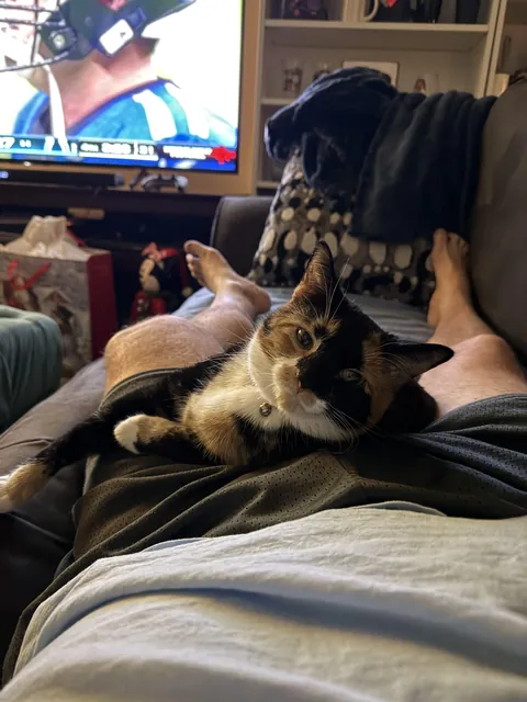 Dad…. I’m so tired!!!