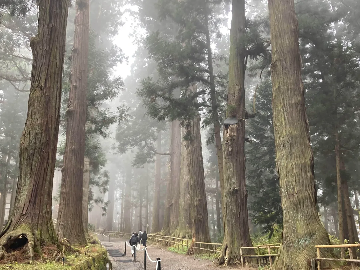 First time in northern japan for 5 days and it did not disappoint