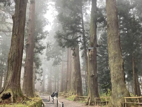 First time in northern japan for 5 days and it did not disappoint