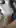 Full video or name?