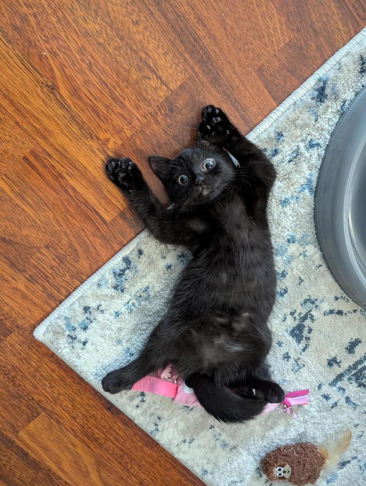 Show me your best jazz hands