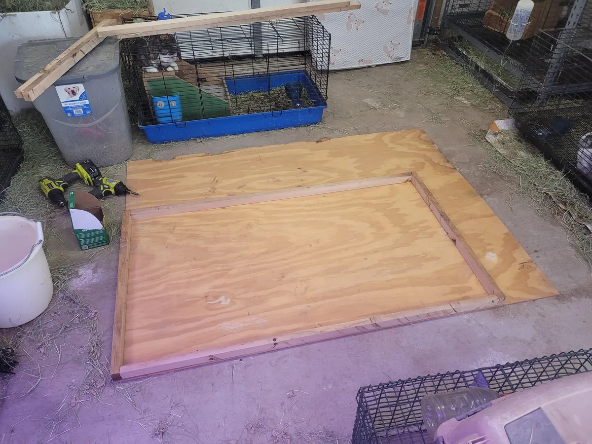 Sheepdog Too Big. Built A Bed To Match Dimensions To Our Queen. Used 100% Recycled Materials. £0 Spent. I Will Build/Install Drawer Tomorrow.