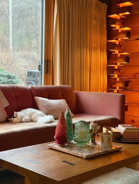 Over here just trying to keep my cats out of the tree. 🌲