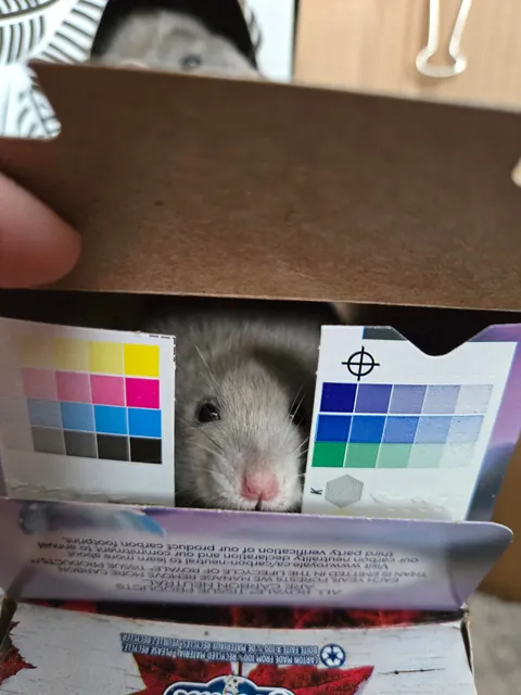 Doby is 2 years old today!!!!