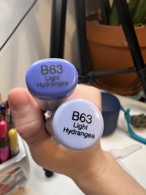 Almost gave up looking for this markers refill ink because of how vastly different the colors are on the caps.