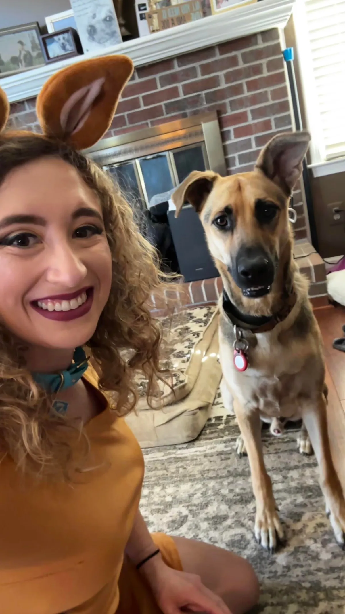 Everyone say happy 2nd birthday to Scooby!