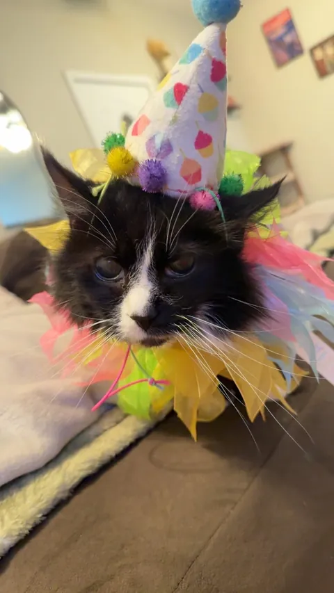 Cookie turned 24 today!!!