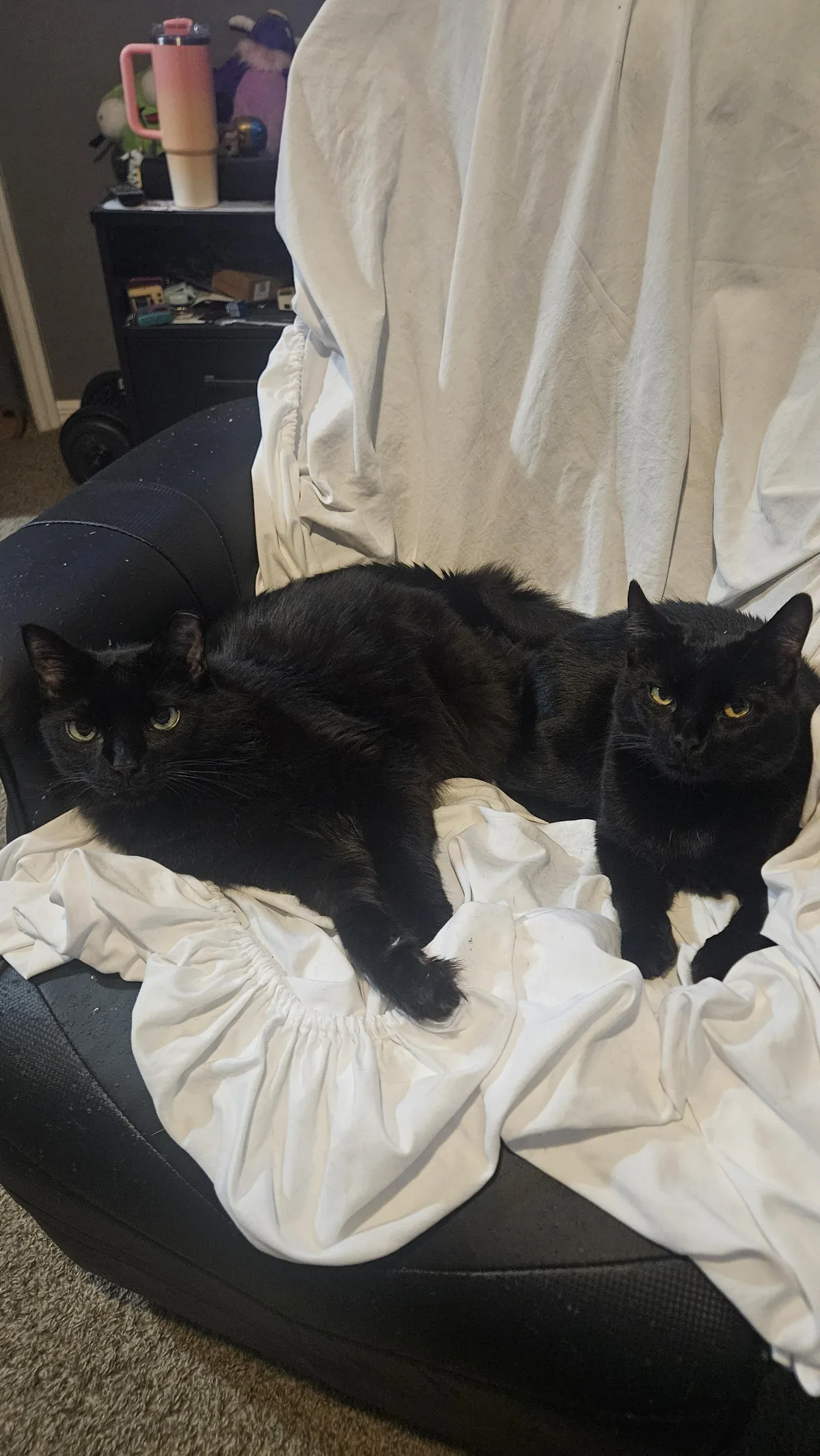 They are always judging me