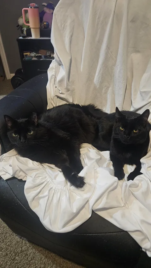 They are always judging me