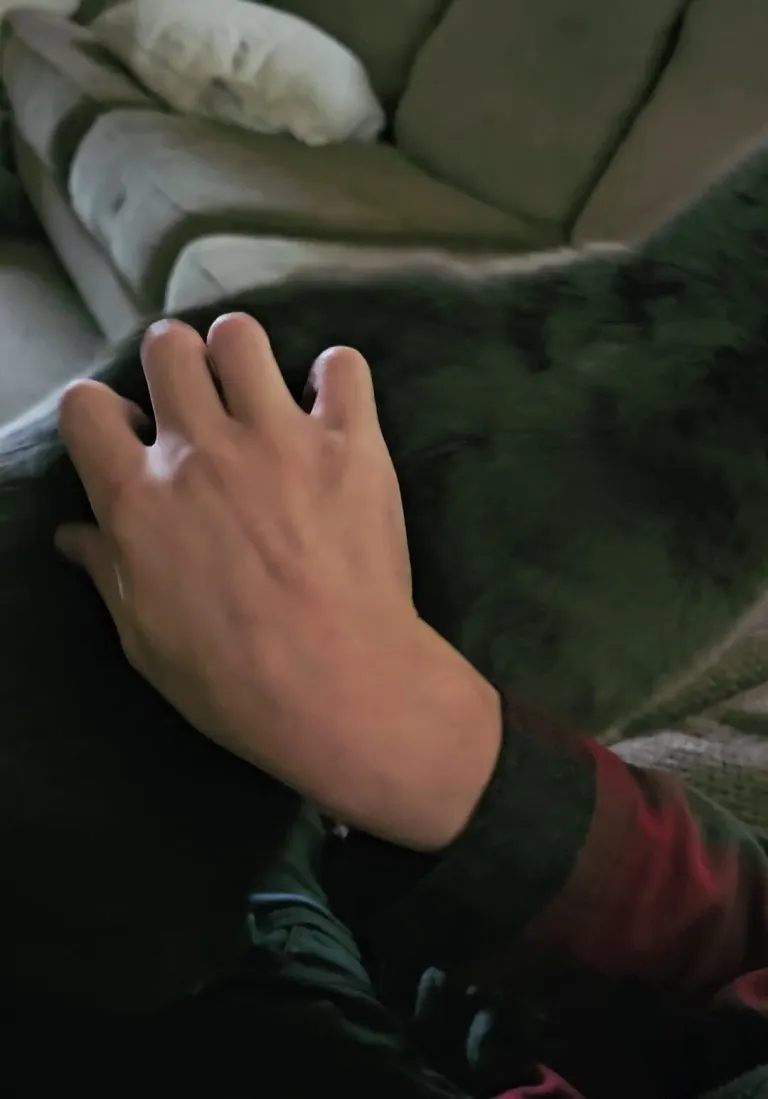 Meet Smoke the cat, who hated me until my dad went out of town for 2 weeks and I was there as his only companion