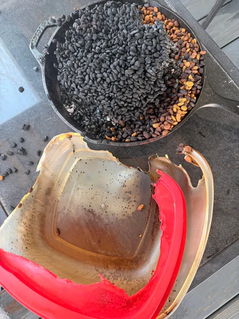 Freak accident caused by cat that wanted more food