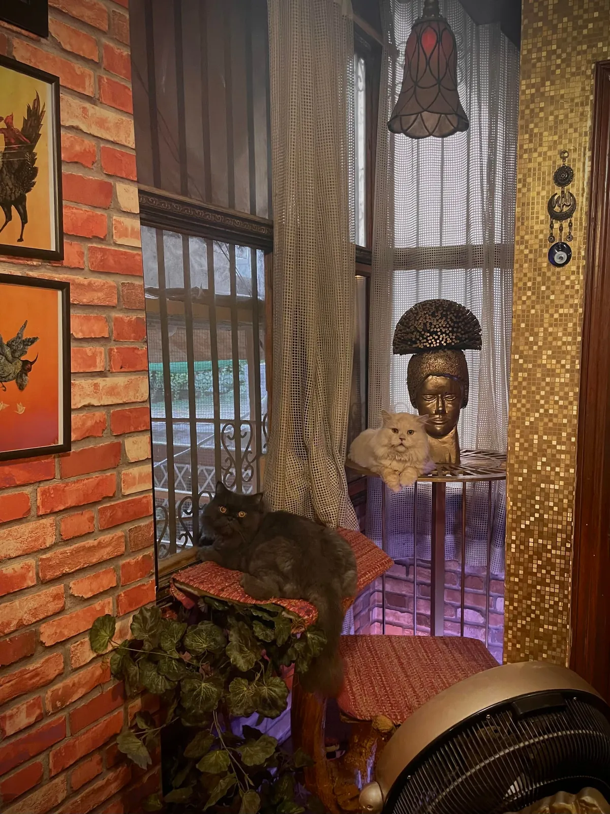 My lounge with my best buds 💕