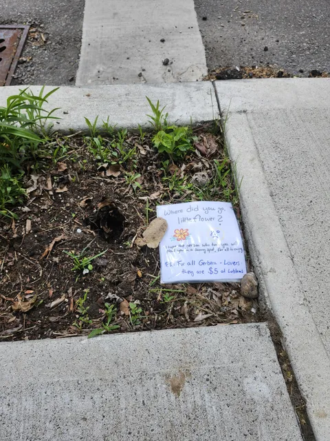 Someone's flowers got stolen :(