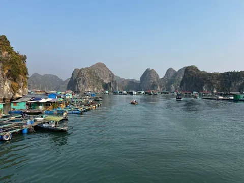 Vietnam's beauty