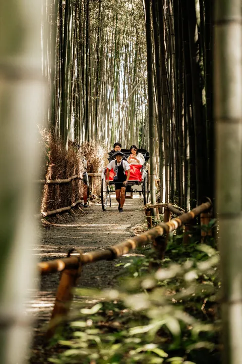 An incredible two weeks in Japan!