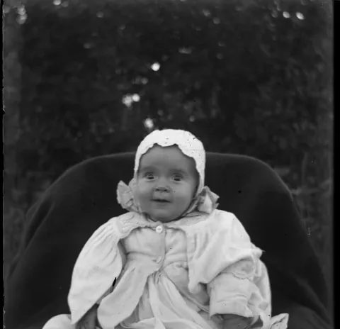 the dry plate negative saga continues