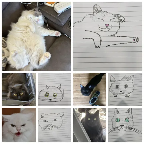 Can I draw your cat badly?